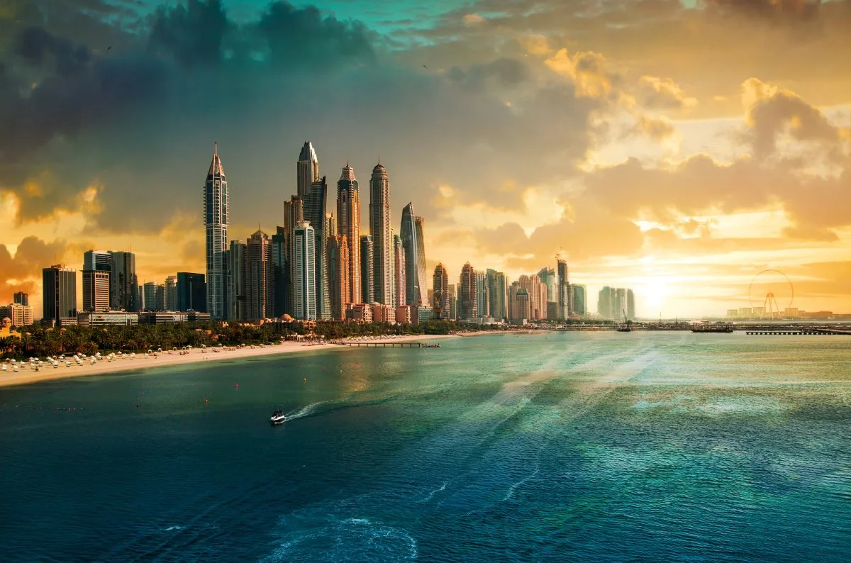 قائمة أبرز الشركات الناشئة في الإمارات لعام 2024
