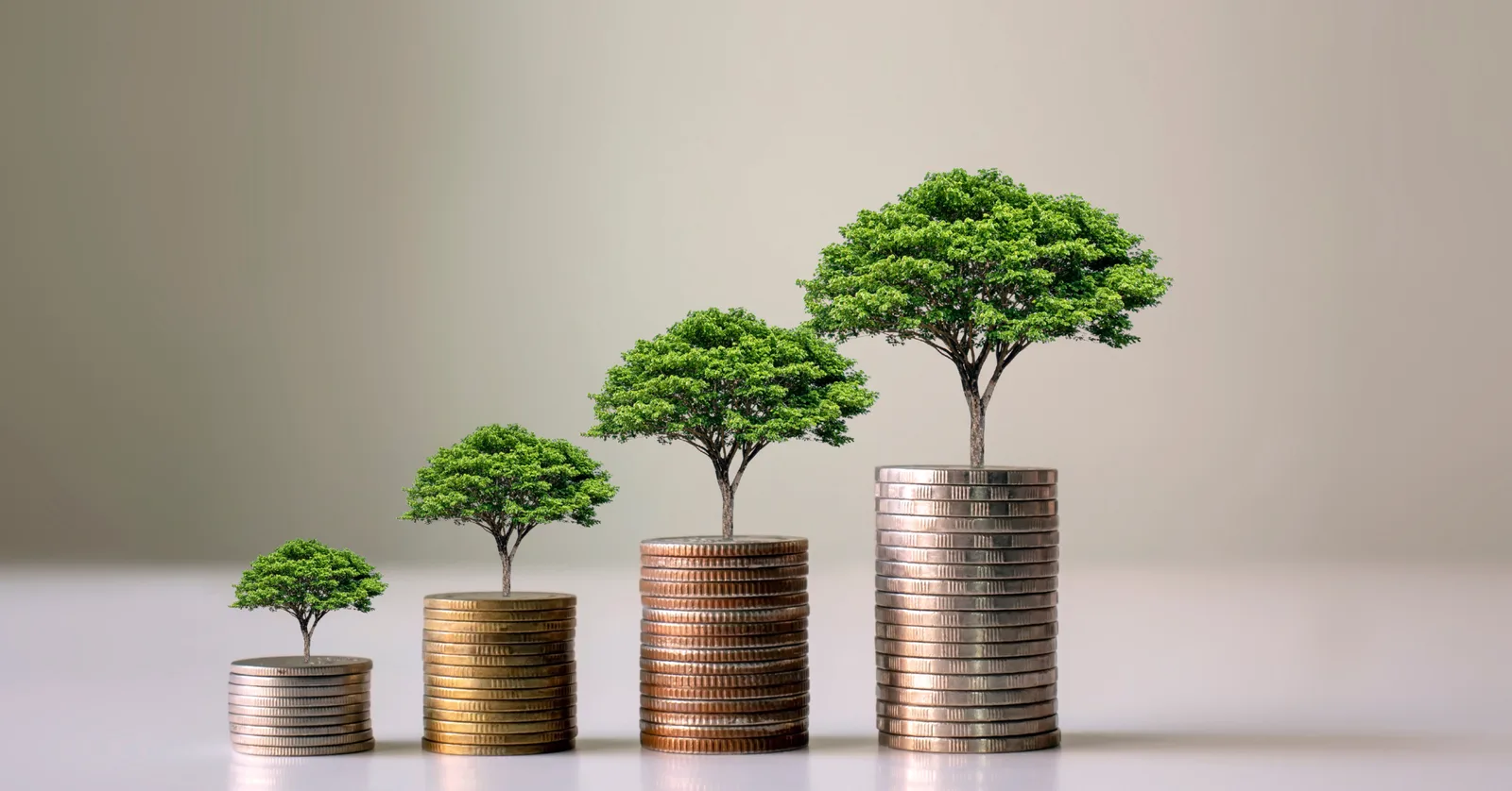 5 نصائح استثمارية للمستثمرين في سوق الأوراق المالية