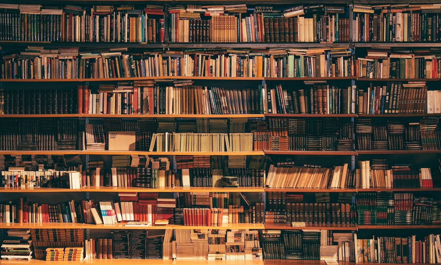 أفضل 5 كتب يجب قراءتها في عام 2025