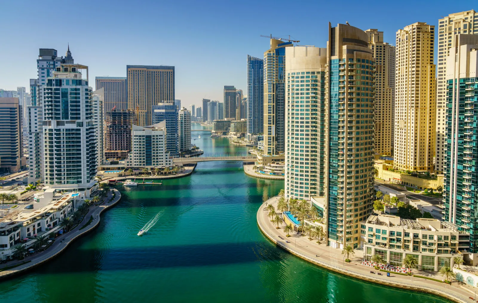 أبرز الشركات الناشئة في الإمارات لعام 2025